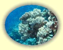 IMG_2007_05_29 14_47_01 * 3072 x 2304 * (1.18MB)